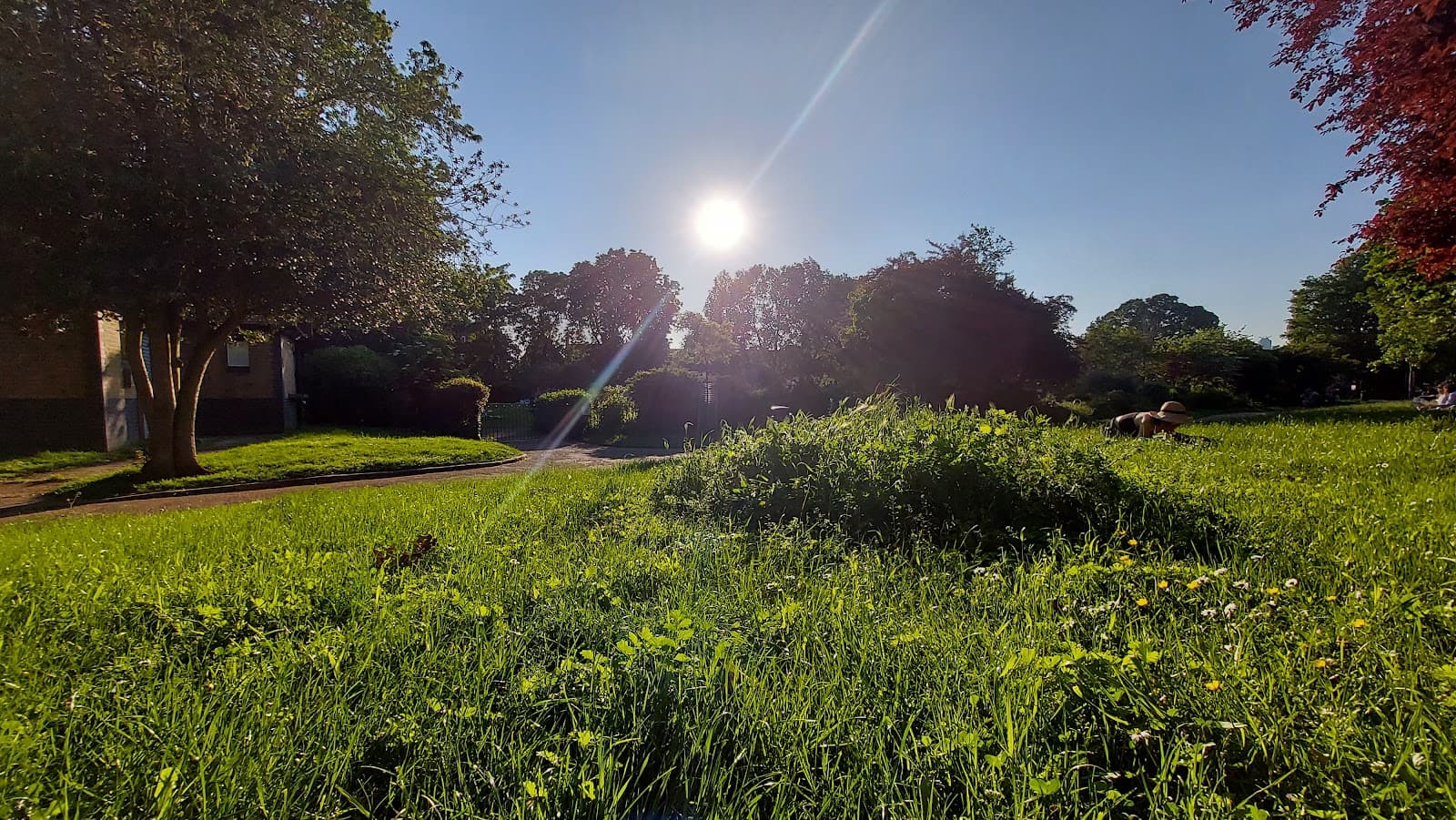 Brunswick Park
