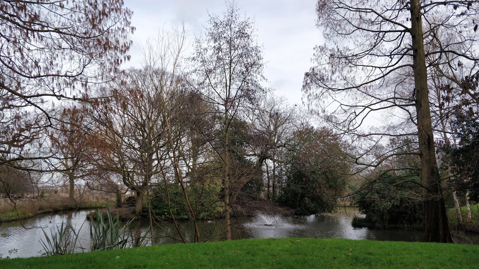 Springfield Park